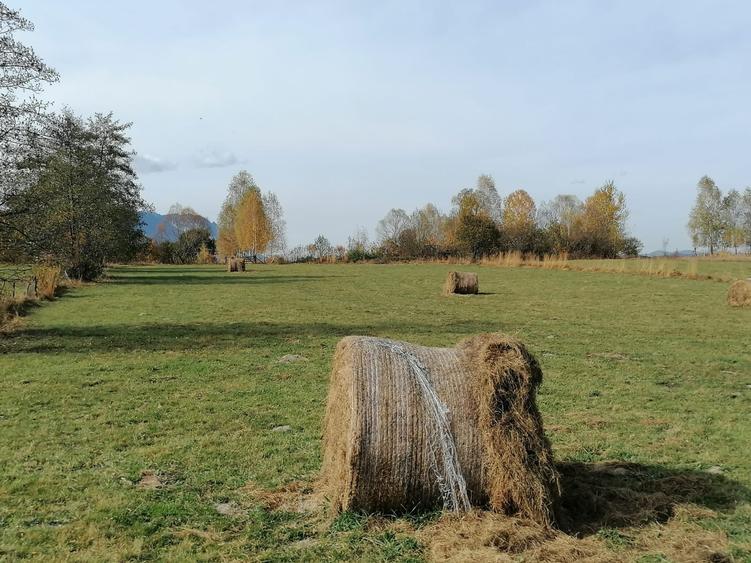 Teren agricol extravilan de 13000 mp, în Sohodol