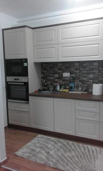 Apartament cu 2 camere semidecomandat în Dosu Bricii