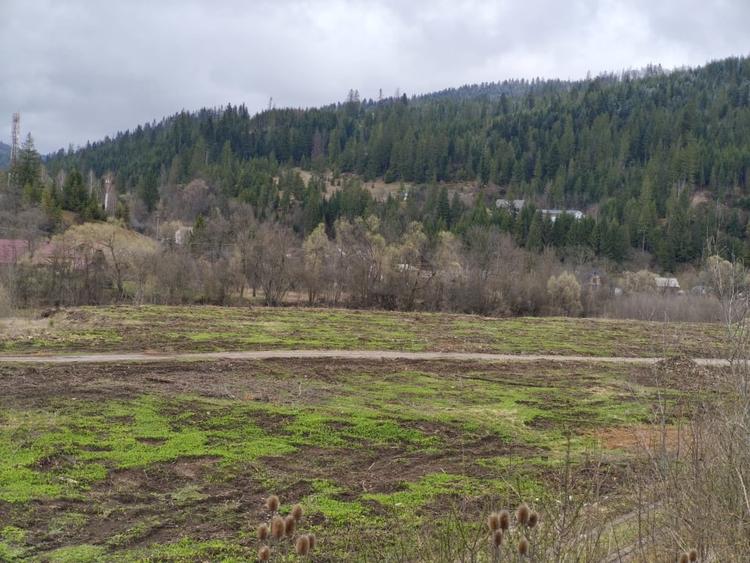 Teren Construcții intravilan de 22600 mp, în Sucevița
