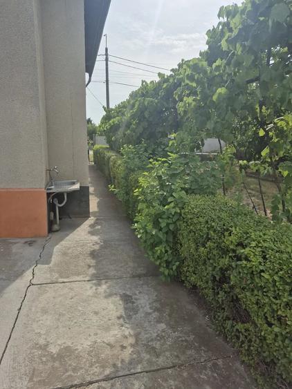 Casă cu 7 camere cu Teren 800 Mp în Becicherecu Mic