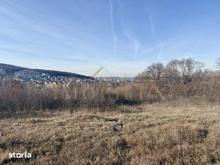 Teren de 4000 mp, în Europa