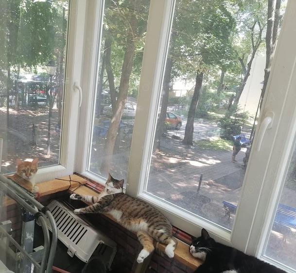 Apartament cu 2 camere semidecomandat în Berceni