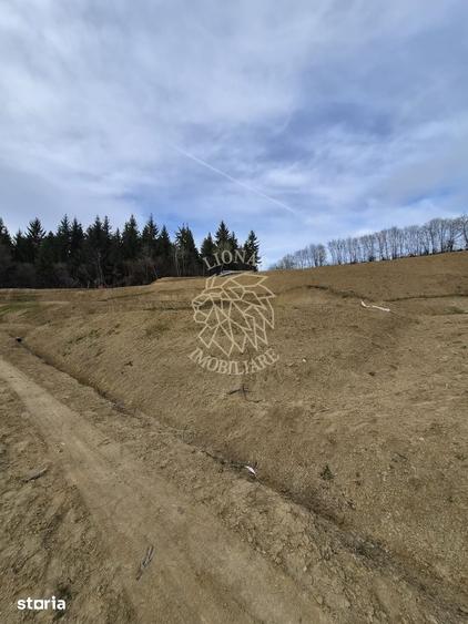 Teren 500 mp- 5 minute centru- investitie, cabana in natura, Bistrita - 4