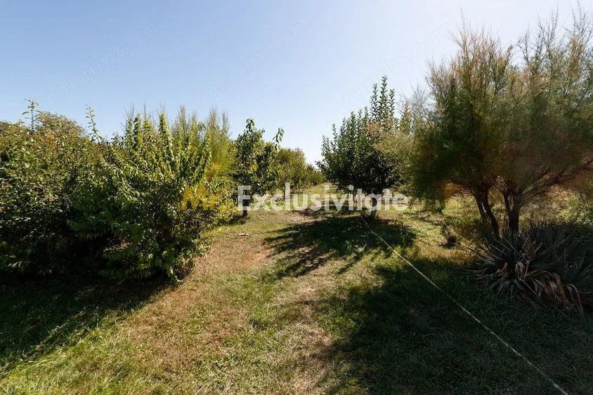 Casă cu 2 camere cu Teren 5000 Mp în Dârmănești
