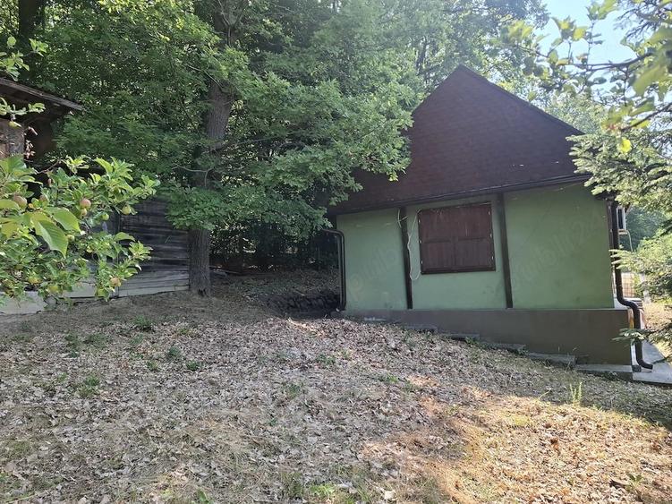 Casă cu Teren 2700 Mp în Central