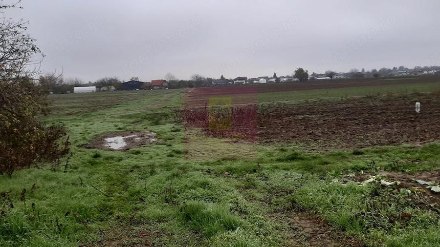 Teren de 2250 mp, în 1 Decembrie