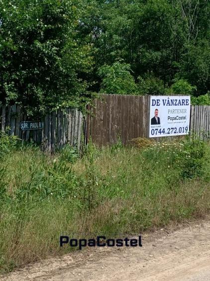 Teren Construcții de 15000 mp, în Mereni (Conțești)