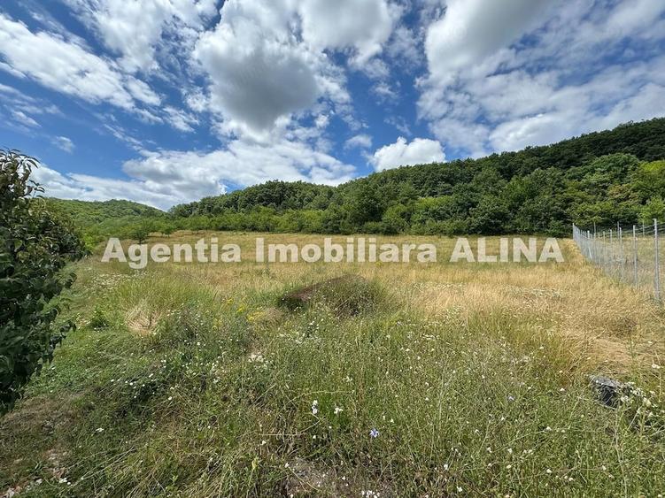 Teren de 1905 mp, în Șoimuș