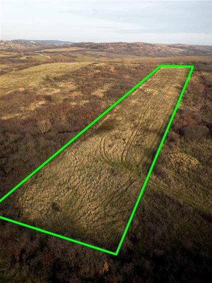 Teren Construcții intravilan de 6895 mp, în Uileacu de Munte