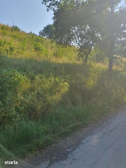Teren de 1500 mp, în Bățani