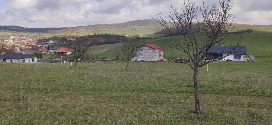 Teren de 1000 mp, în Sigmir