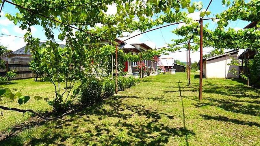 Casă cu 3 camere cu Teren 800 Mp în Teiș