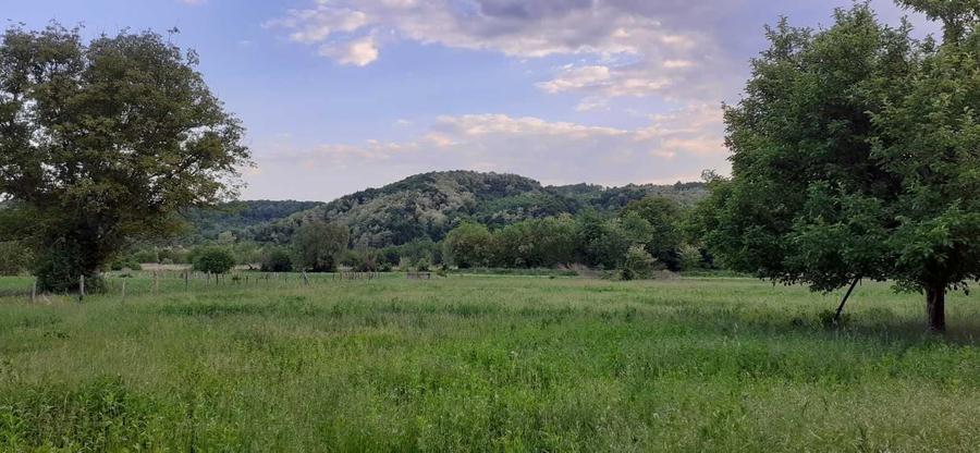 Casă cu 4 camere în Bâscenii de Sus