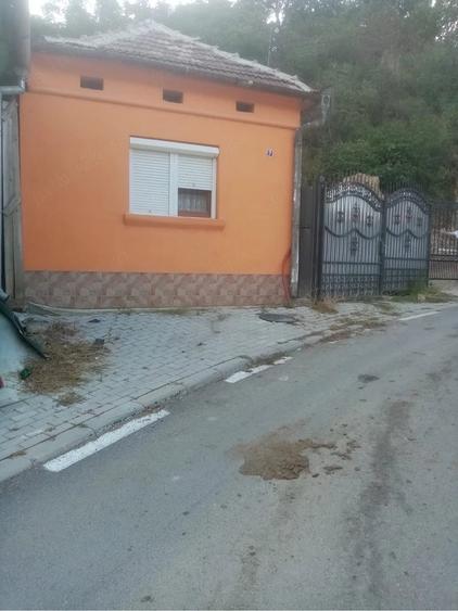 Casă cu Teren 60 Mp în Central
