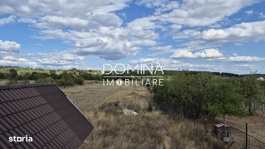 Vanzare casa D+P+M si teren 4334 mp - Runcu, Sat Rachiti - 10