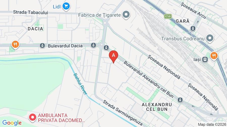 Garsonieră decomandată, mobilată în Alexandru cel Bun