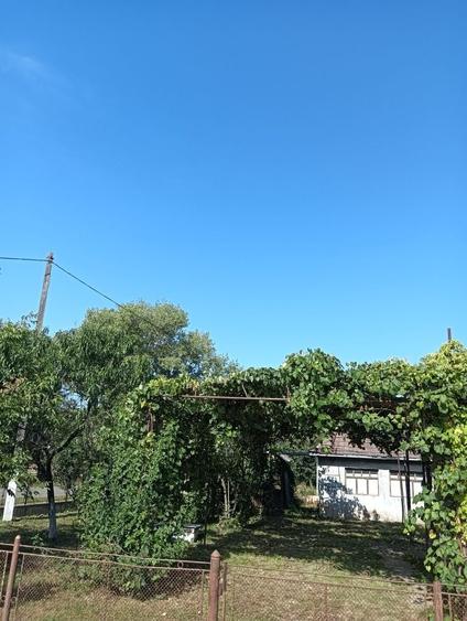 Casă cu 4 camere în Micula