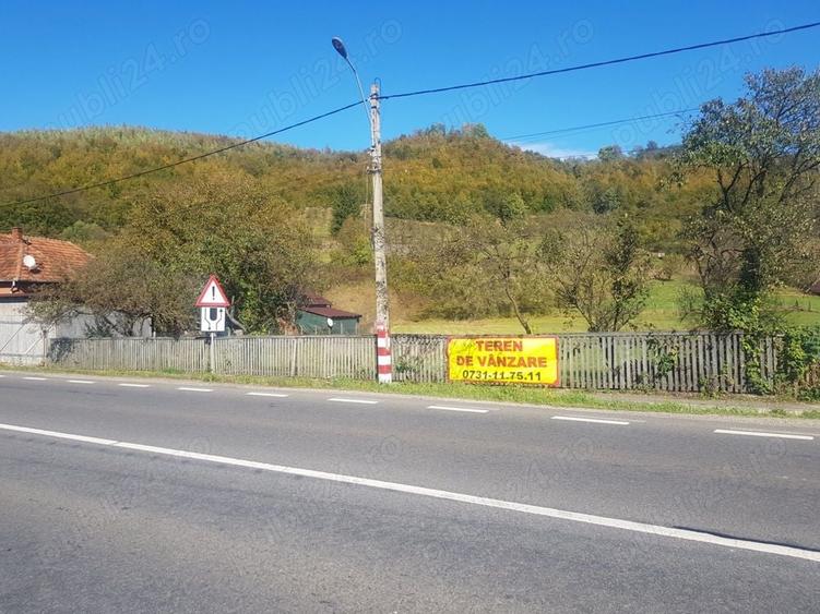 Teren de 4500 mp, în Ciucea