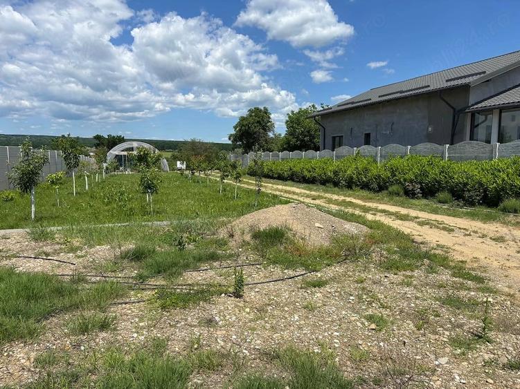 Teren de 3260 mp, în Plopu