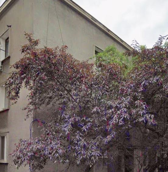 2 camere, Rahmaninov (Floreasca) - 1
