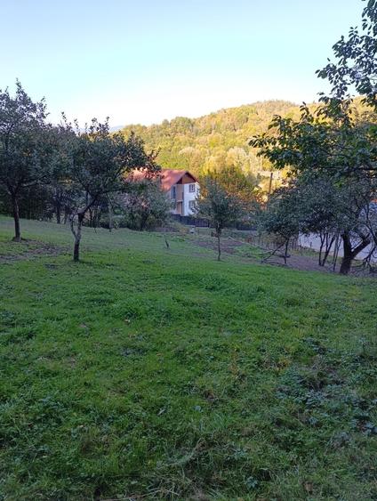 Teren de 1599 mp, în Bughea de Jos