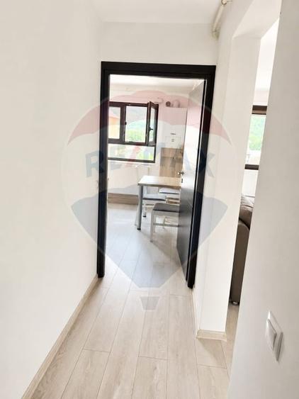 Apartament cu 2 camere, mobilat în Central