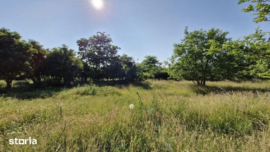 Teren de 2400 mp, în Dor Mărunt