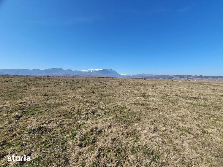 Teren de 3900 mp, în Central