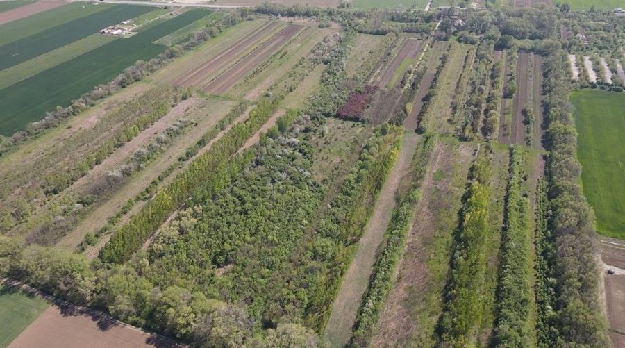 Teren agricol extravilan de 500 mp, în Central