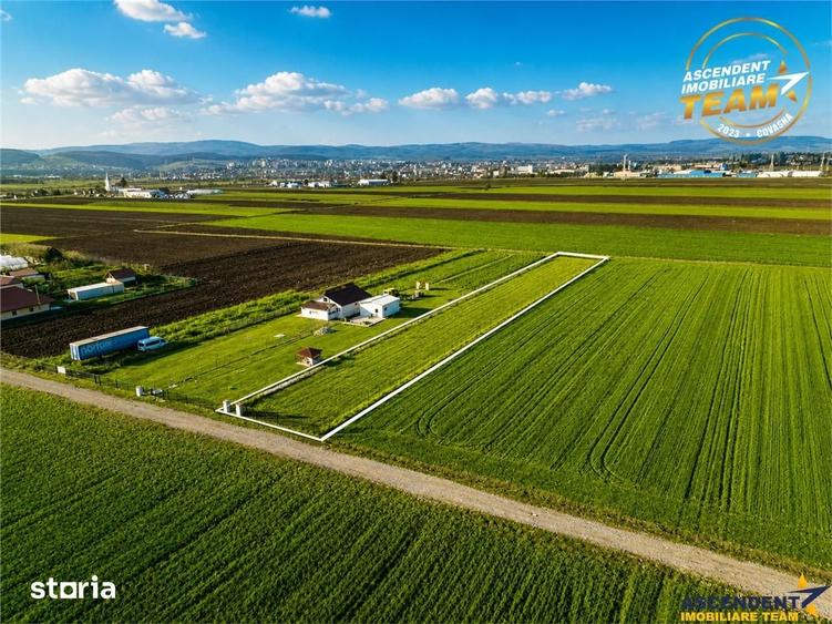 Teren de 2498 mp, în Central