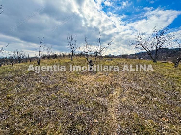Teren de 500 mp, în Călugareni