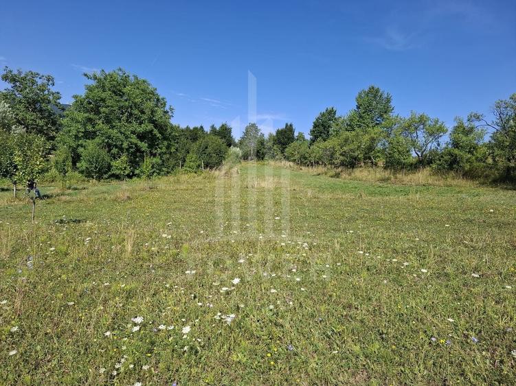 Teren Construcții intravilan de 650 mp, în Sadu