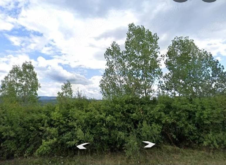 Teren de 5000 mp, în Țigăneștii de Criș
