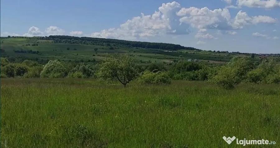 Teren în Central