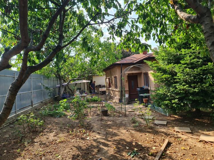 Casă cu 3 camere în Alexandriei