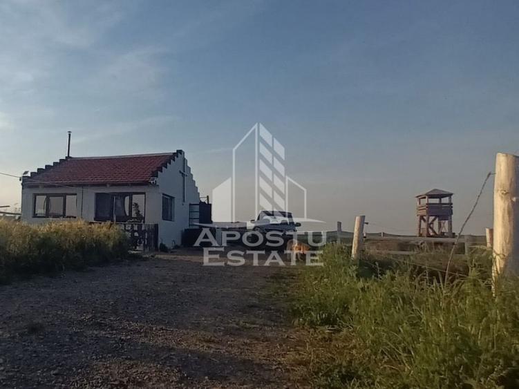 Farmhouse la 14km de Timisoara, teren agricol 1ha - 1