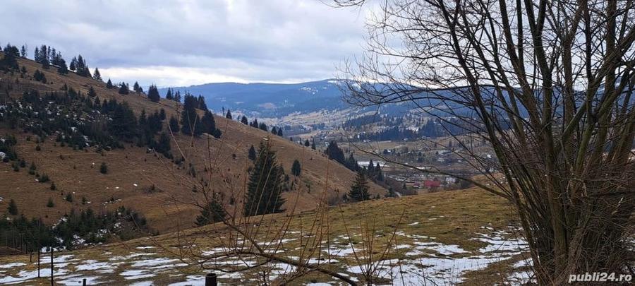 Casă cu 3 camere cu Teren 3892 Mp în Dorna Candrenilor