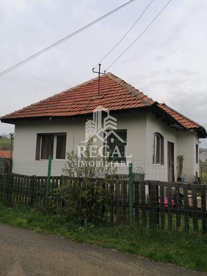 Casă individuală cu 2 camere cu Canalizare în Cerișor
