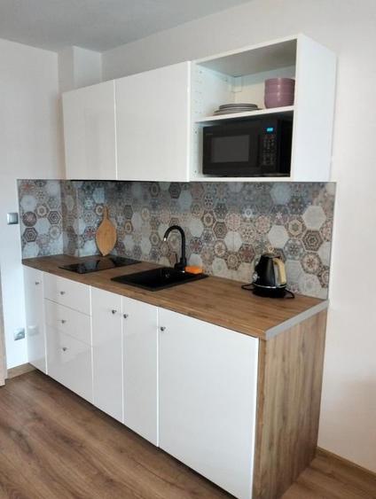 Apartament cu 2 camere de inchiriat zona Floreasca - 4