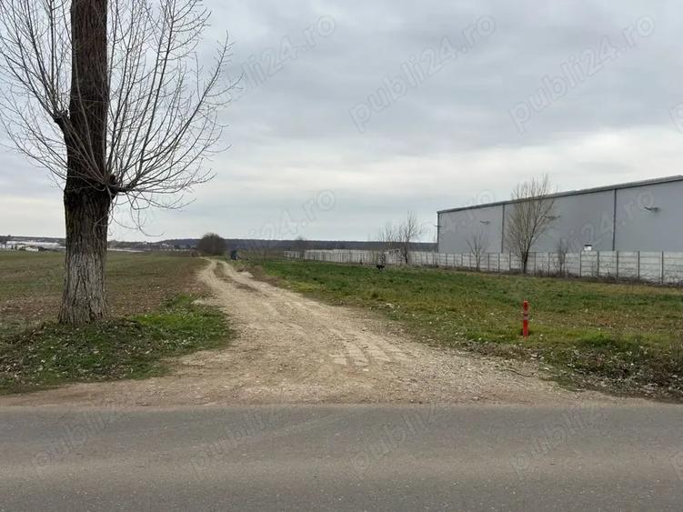 Teren de 565 mp, în Moara Domnească