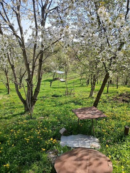 Teren de 1200 mp, în Central