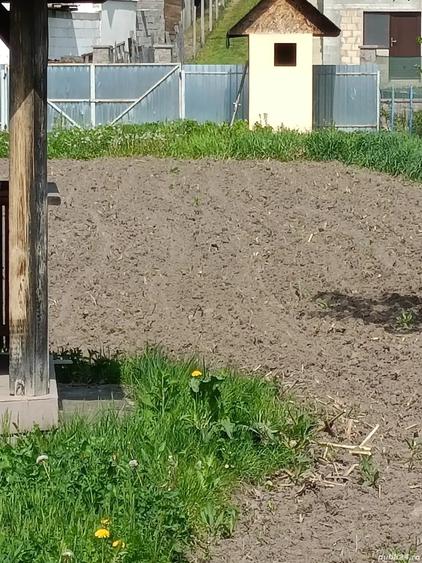 Teren de 900 mp, în Mănăstirea Cașin