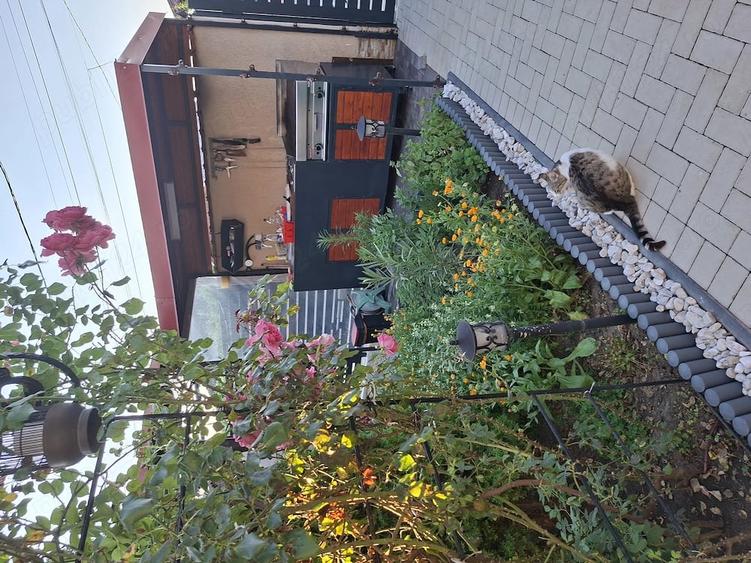 Casa Centru Civic Cumpana - 7