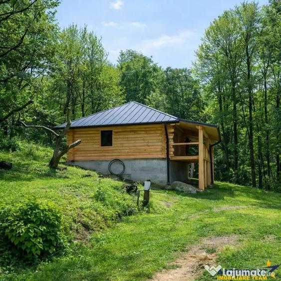 3.000mp de incantare montana cu cabana din lemn masiv, Zarne - 4
