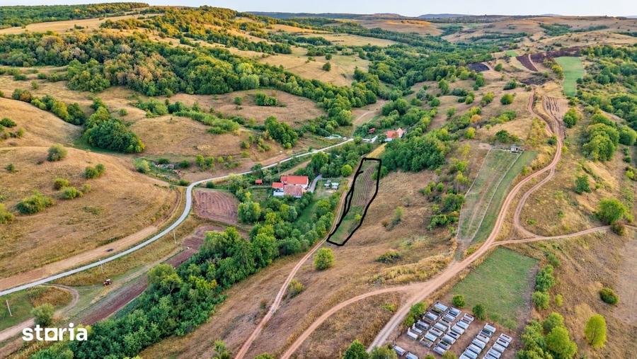 Teren de 3200 mp, în Aghireșu