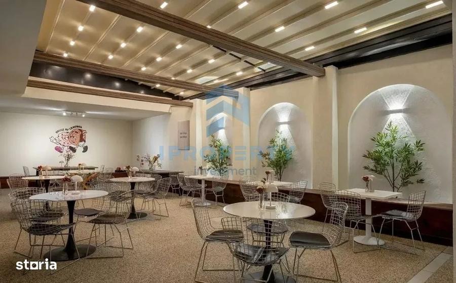 Inchiriere Spatiu Comercial - Restaurant HoReCa Cismigiu 130 mp + Tera - 7
