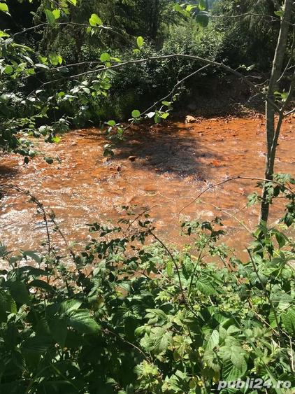 Teren de 10000 mp, în Șaru Dornei
