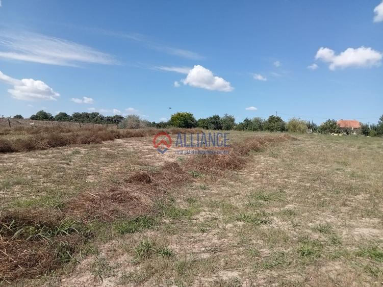 Teren intravilan de 4000 mp, în Grădina