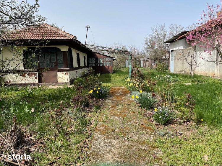 Teren de 1644 mp, în Pasărea