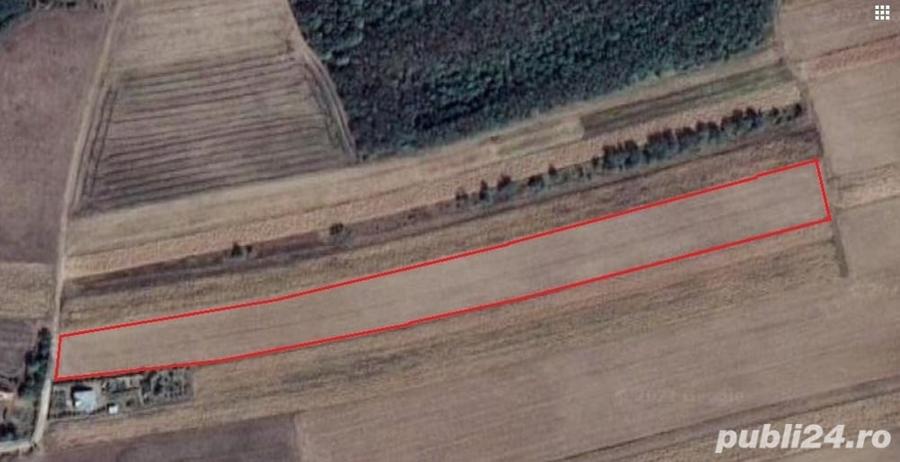Teren de 11000 mp, în Lăceni